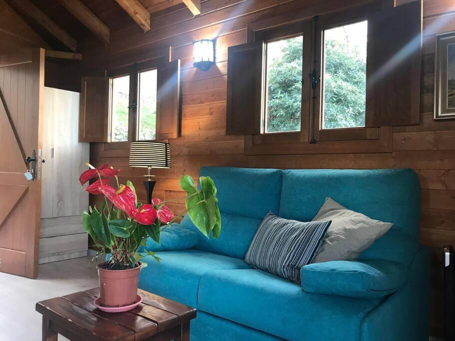 Cozy Mountain La Orotava