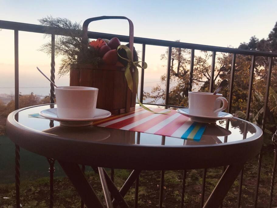 Cozy Mountain Apartament La Orotava