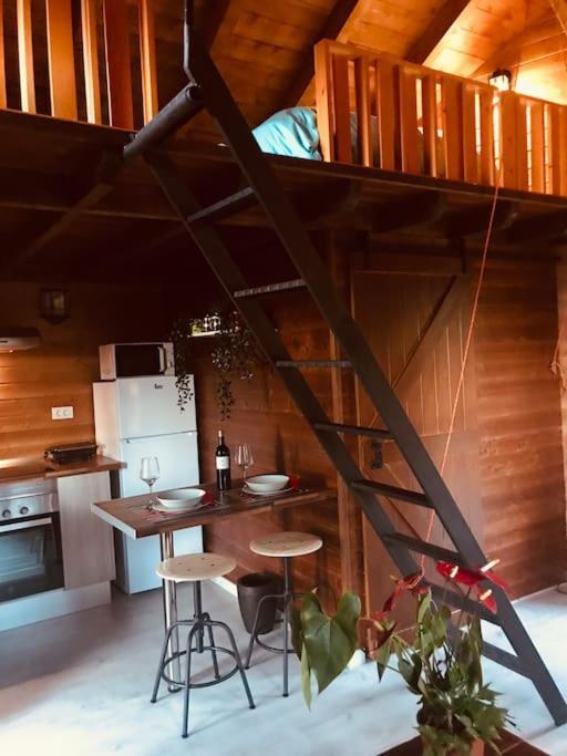 Apartment Cozy Mountain *