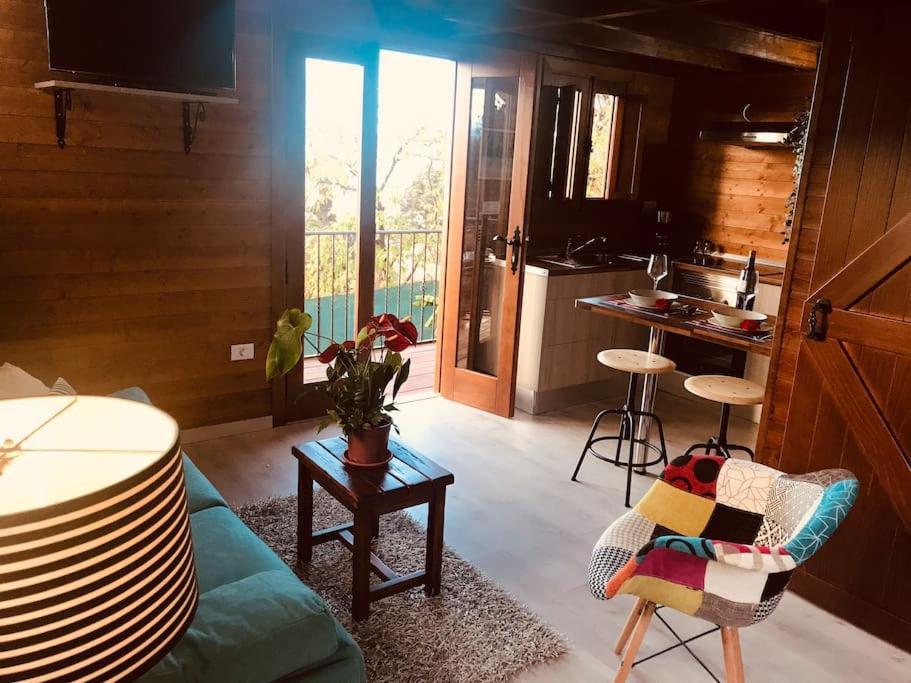 Cozy Mountain Apartment La Orotava